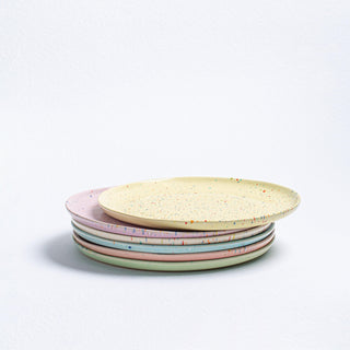New Party Dinner Plate 27cm - Mix 6 Pieces - Egg Back Home