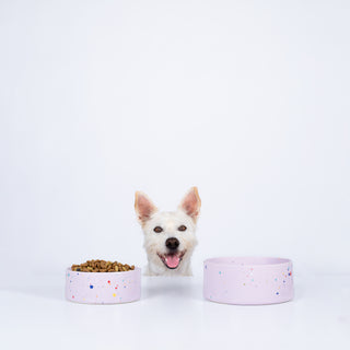 New Party Pet Bowl 14cm Set 2 White Lilac - Egg Back Home