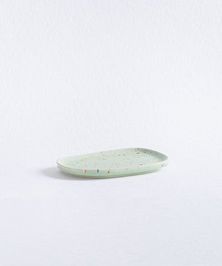 New Party Small Tray