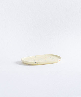 New Party Small Tray