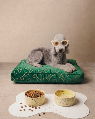 New Party Stoneware Pet Bowl 14cm 2 Pieces Set Yellow – handmade stoneware tableware set – Egg Back Home