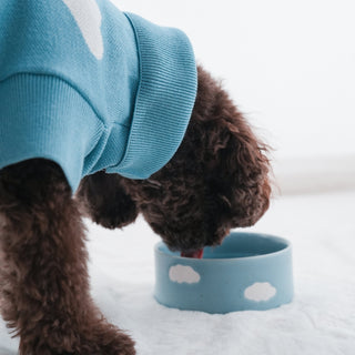 Cloud Pet Bowl 14cm 2 Pieces Set