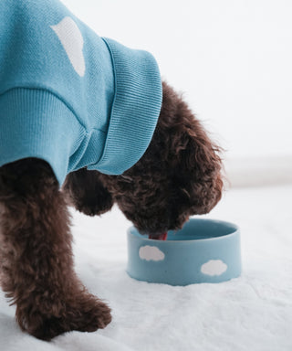Cloud Pet Bowl 14cm 2 Pieces Set