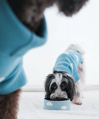 Cloud Pet Bowl 14cm 2 Pieces Set