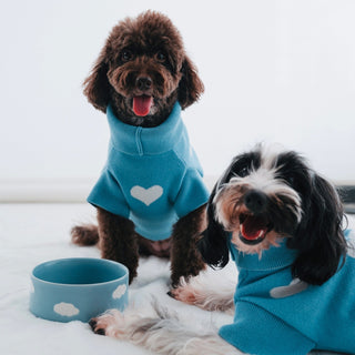Cloud Pet Bowl 16,5cm 2 Pieces Set