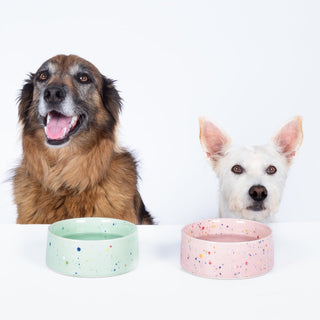 New Party Pet Bowl 16,5cm Set 2 White Pink - Egg Back Home