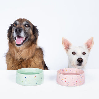 New Party Pet Bowl 16,5cm Set 2 White Green