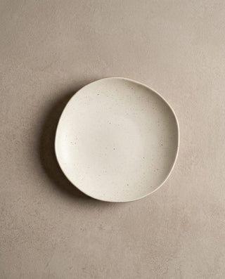 Caelum Stoneware Pasta Plate 23,5cm — shopify 2