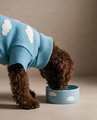 Cloud Pet Bowl 14cm 2 Pieces Set — shopify 5