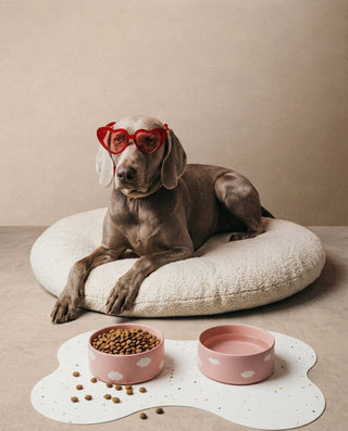 New Party Bone Placemat for Dog bowls — shopify 2