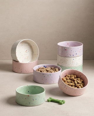 New Party Pet Bowl 14cm Set 2 Green — shopify 3