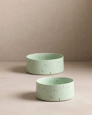 New Party Pet Bowl 16,5cm Set 2 Green — shopify 1