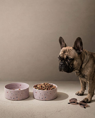 New Party Pet Bowl 16,5cm Set 2 Lilac — shopify 2