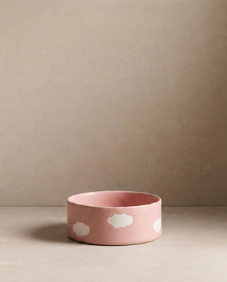 Pink Cloud Pet Bowl 14cm 2 Pieces Set — shopify 2