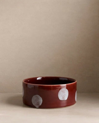 Pop Dots Stoneware Pet Bowl 14cm Burgandy 2 Pieces Set — shopify 1