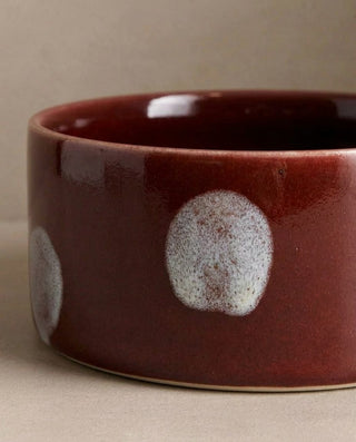 Pop Dots Stoneware Pet Bowl 14cm Burgandy 2 Pieces Set — macro 1