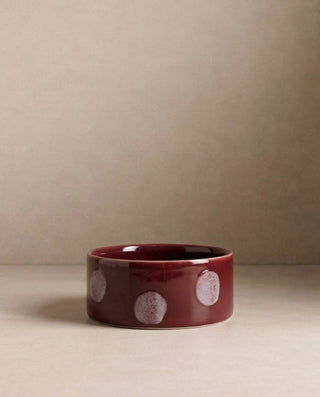 Pop Dots Stoneware Pet Bowl 16,5cm Burgandy 2 Pieces Set — shopify 1
